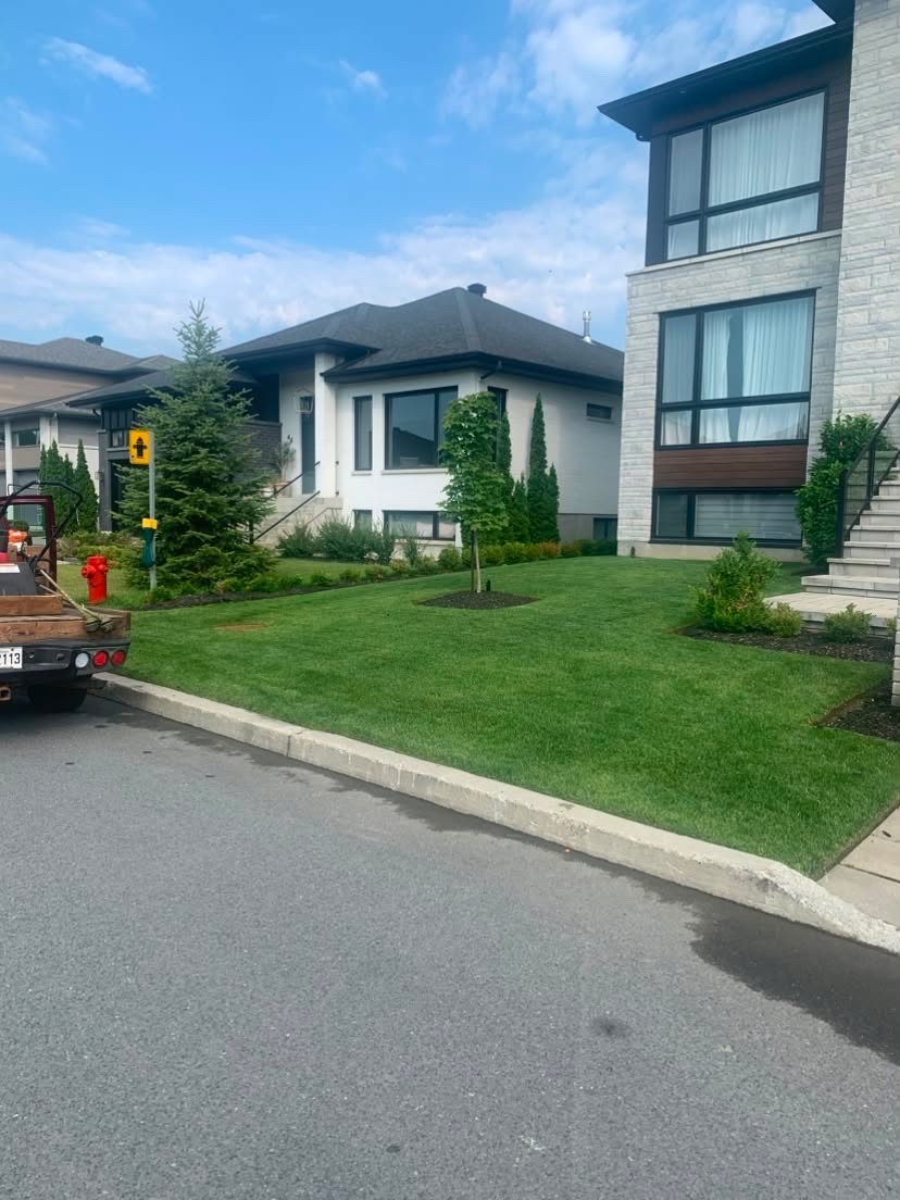 Une nouvelle pelouse en tourbe bien verte avec plates-bandes et arbustes devant une résidence neuve
