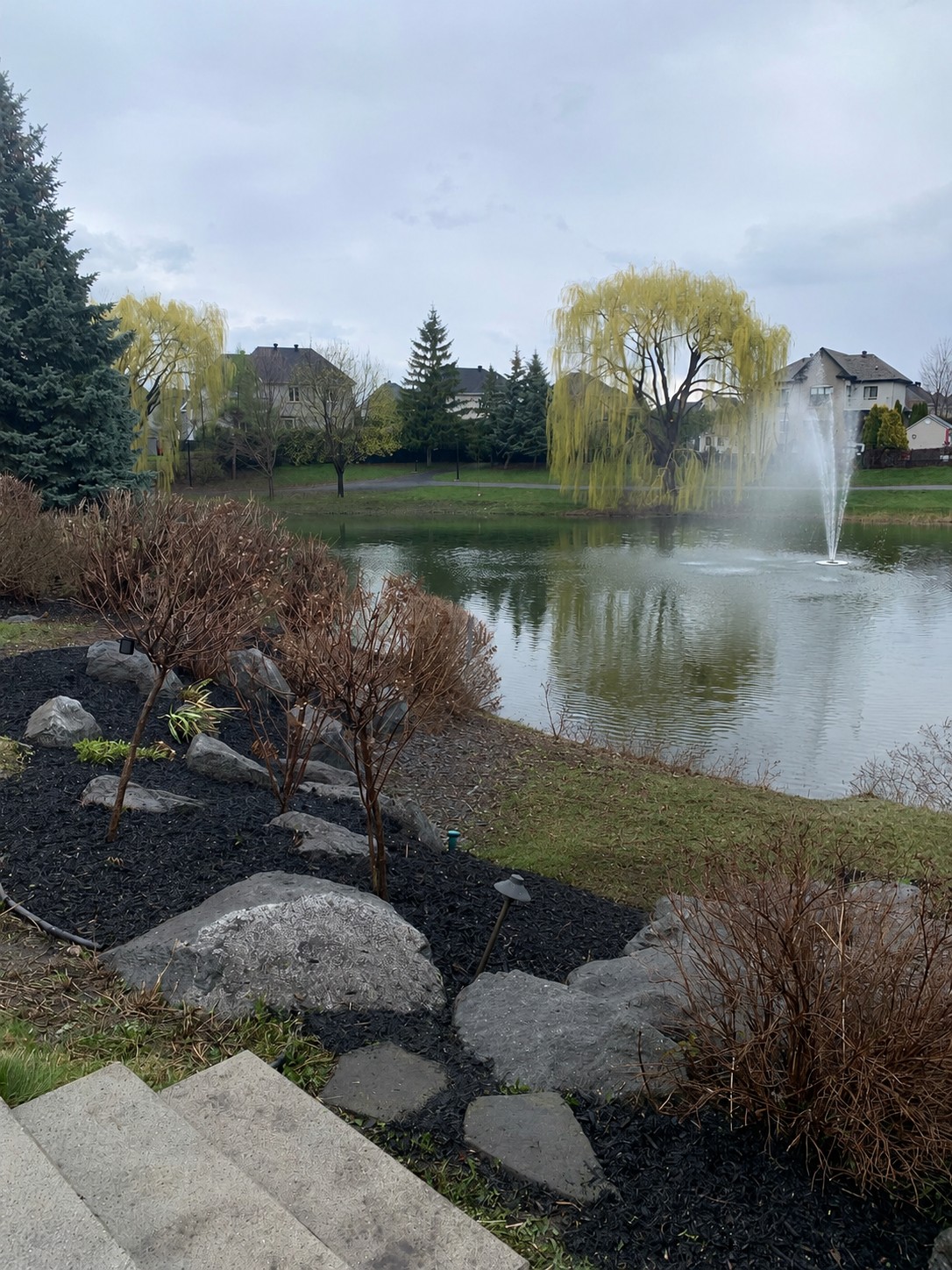 Aménagement paysager avec rocailles, paillis noir, saules pleureurs et fontaine au bord d'un étang à Saint-Bruno-de-Montarville.